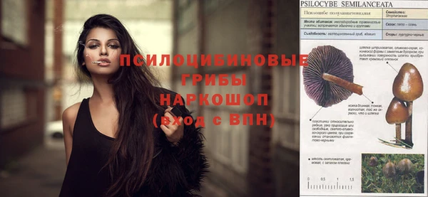 прущая мука Аркадак